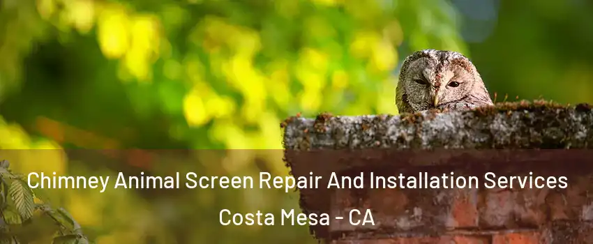 Chimney Animal Screen Repair And Installation Services Costa Mesa - CA