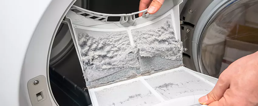 Best Dryer Lint Removal Company in Costa Mesa, California